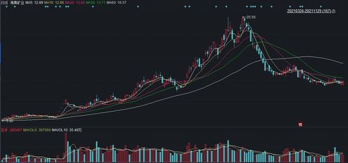 上市公司在海南 总投资3.5亿元 海南矿业磁化焙烧项目正式开工建设